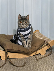 Similar image 22456506