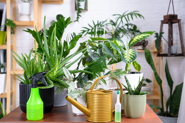 Similar image 22438226