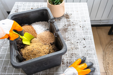 Similar image 22438230