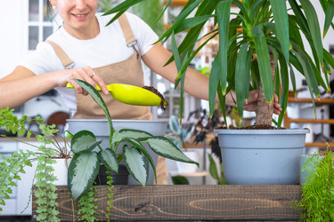 Similar image 22438247