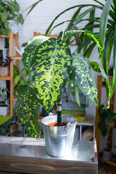 Similar image 22438253