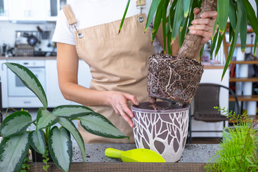 Similar image 22438260