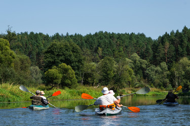 Similar image 22438263