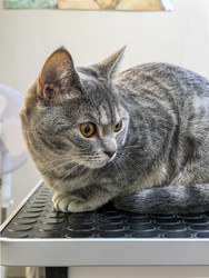 Similar image 22456507