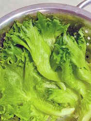 Similar image 22456509