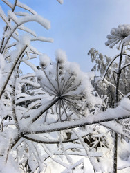 Similar image 22456510