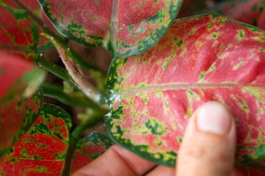 Similar image 22438274