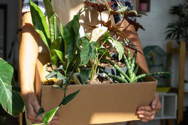 Similar image 22438276