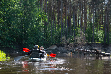 Similar image 22438278