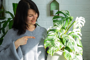 Similar image 22438282