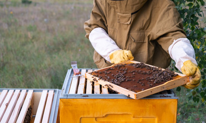 Similar image 22438283