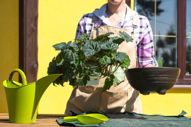 Similar image 22438289