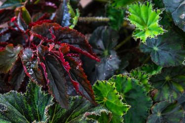 Similar image 22438292