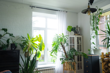 Similar image 22438301