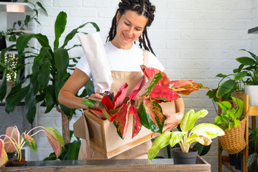 Similar image 22438309