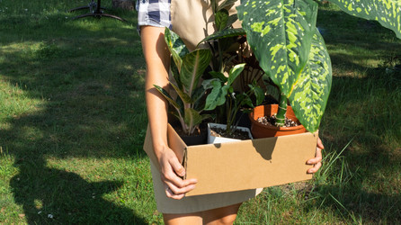 Similar image 22438310