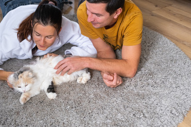 Similar image 22438311