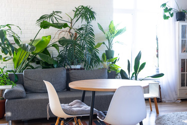 Similar image 22438314