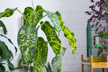 Similar image 22438320