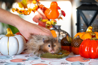 Similar image 22438322