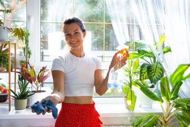 Similar image 22438324