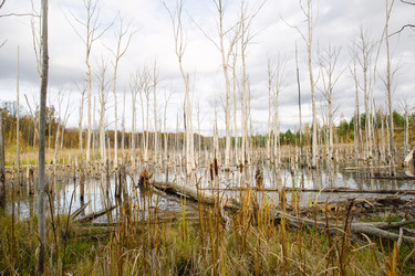 Similar image 22438325