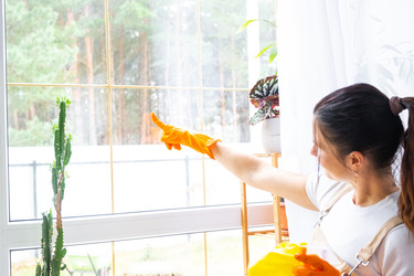 Similar image 22438329