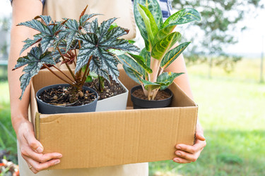 Similar image 22438349