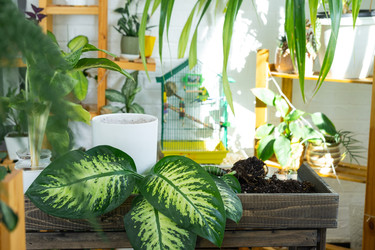 Similar image 22438350