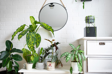 Similar image 22438351