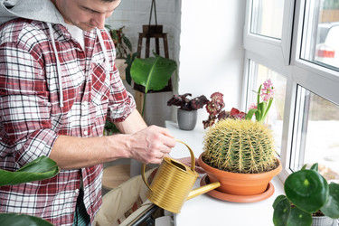 Similar image 22438353