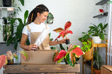 Similar image 22438356