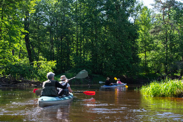 Similar image 22438359