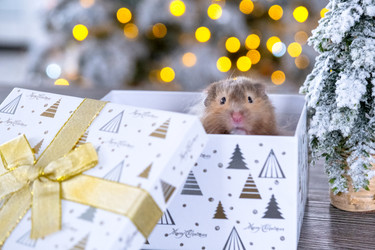 Similar image 22438363