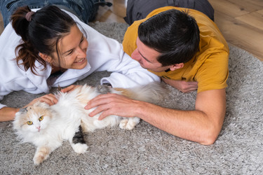 Similar image 22438373