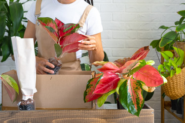 Similar image 22438377