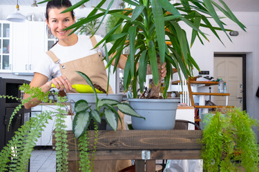 Similar image 22438378