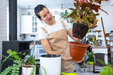 Similar image 22438384