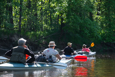 Similar image 22438385