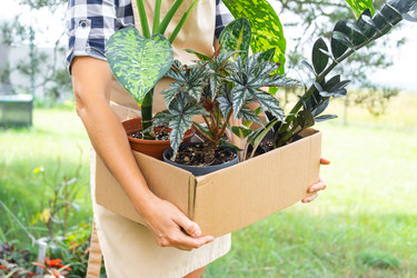 Similar image 22438388