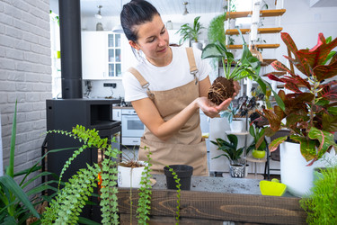 Similar image 22438395