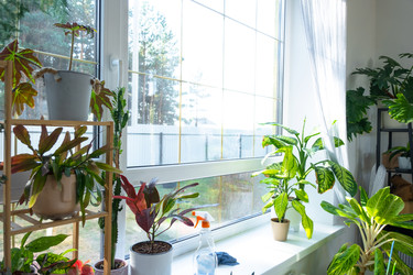 Similar image 22438401