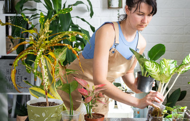 Similar image 22438406