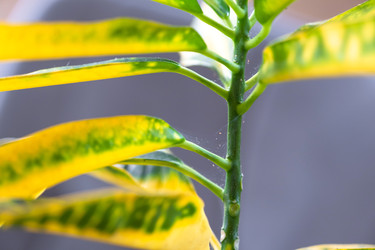 Similar image 22438409