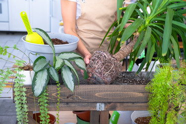 Similar image 22438417