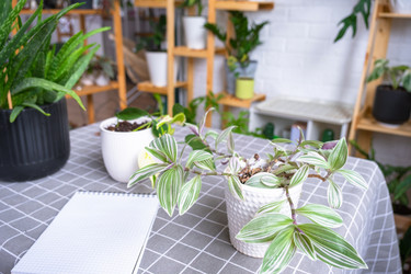 Similar image 22438437