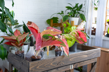 Similar image 22438444