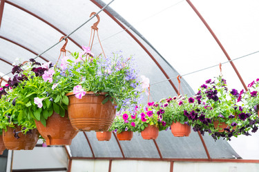 Similar image 22438445