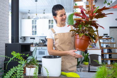 Similar image 22438756