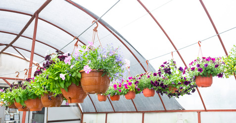 Similar image 22438766